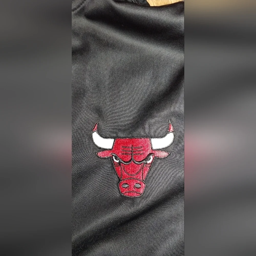 Chicago Bulls NBA Men's Jacket Size(L)